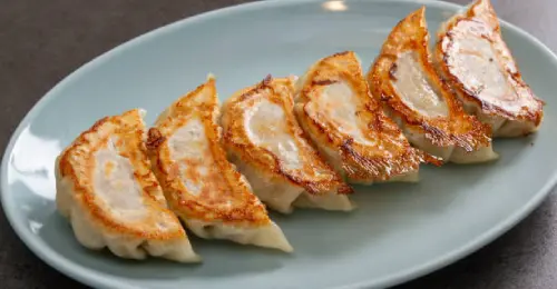 Hibachi W Boston – Gyoza pan-fried dumplings appetizer with dipping sauce